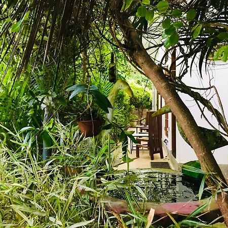 Green jade Inn Mirissa Buitenkant foto