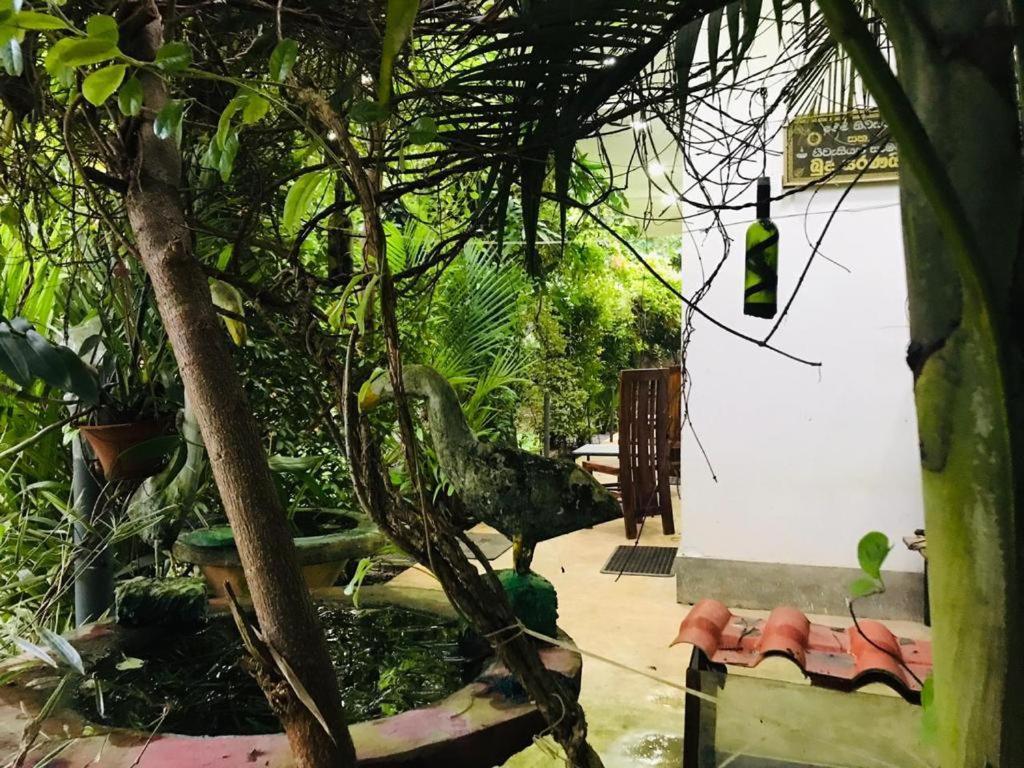 Green jade Inn Mirissa Buitenkant foto
