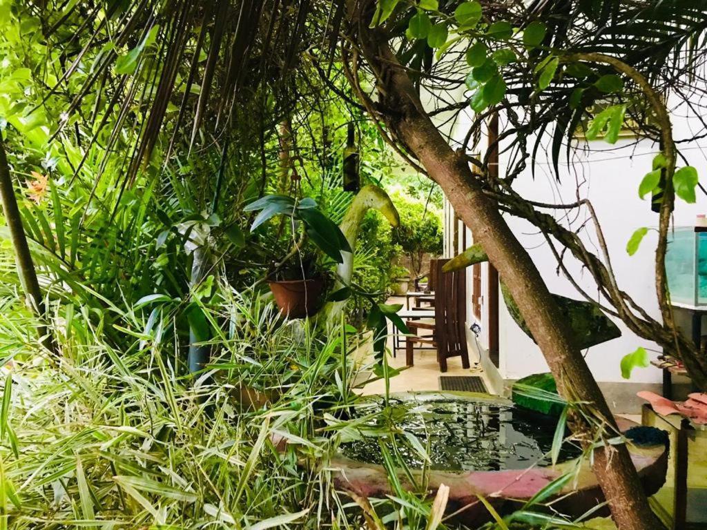 Green jade Inn Mirissa Buitenkant foto